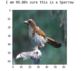 Sparrow Detection